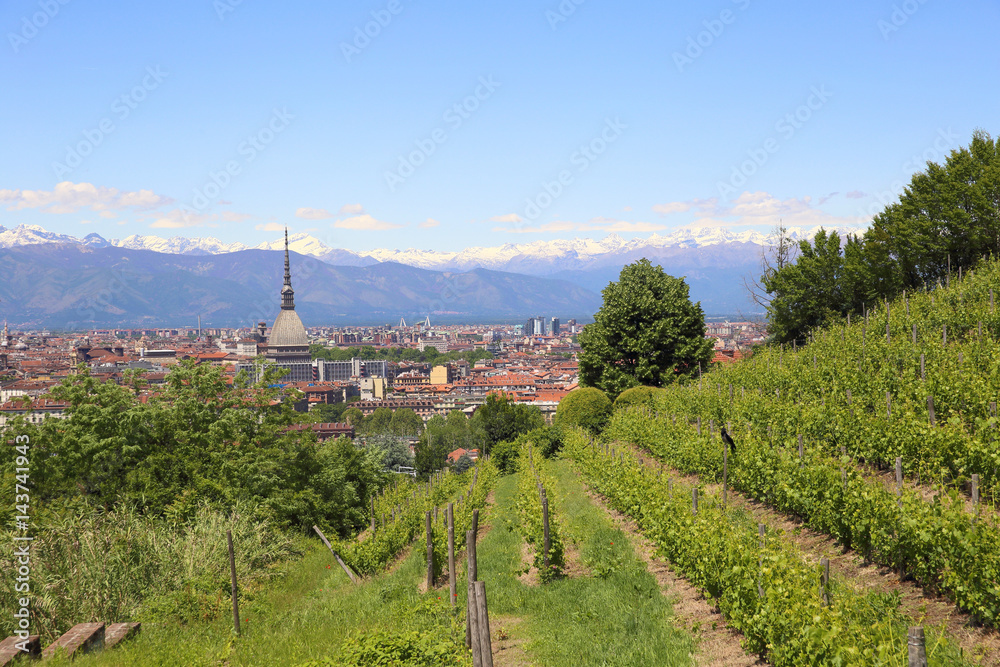 panoramic landscape in Turin at the foot of the alps, Italy