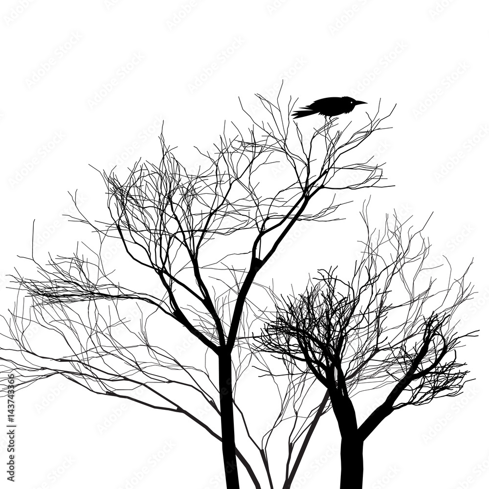 Obraz premium Graphic trees with a crow
