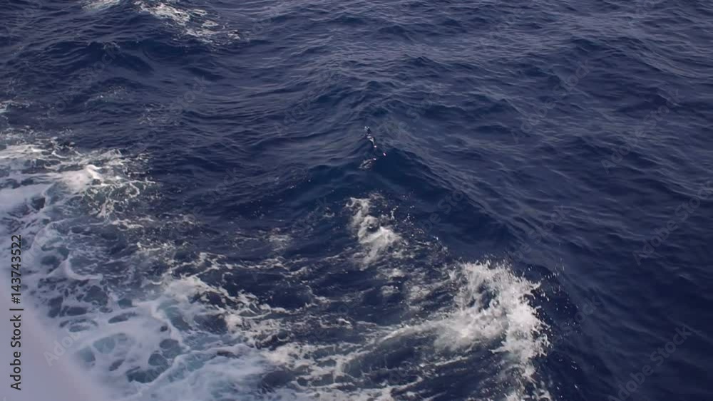 Wave caused by a cruise ship, slow motion. Beautiful waves of the sea. Wave caused by a cruise ship, slow motion. Beautiful waves of the sea.
