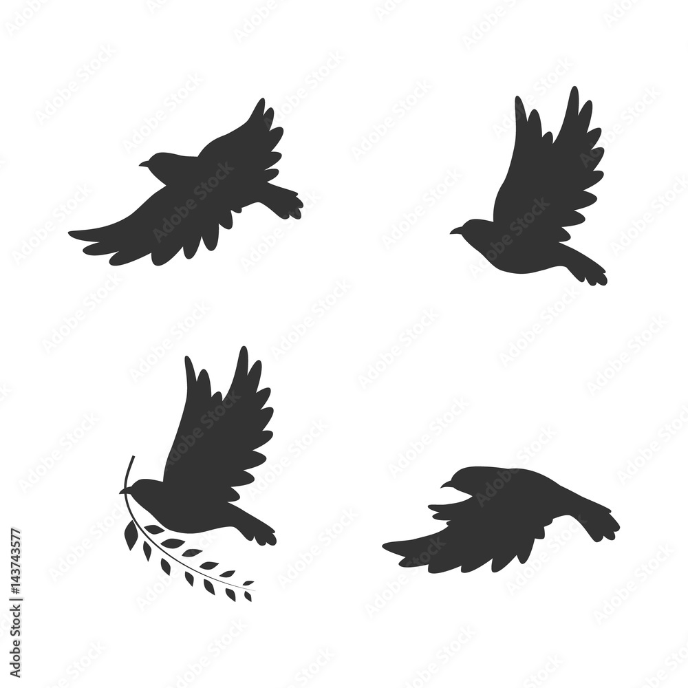 Obraz premium Fredom birds vector illustration