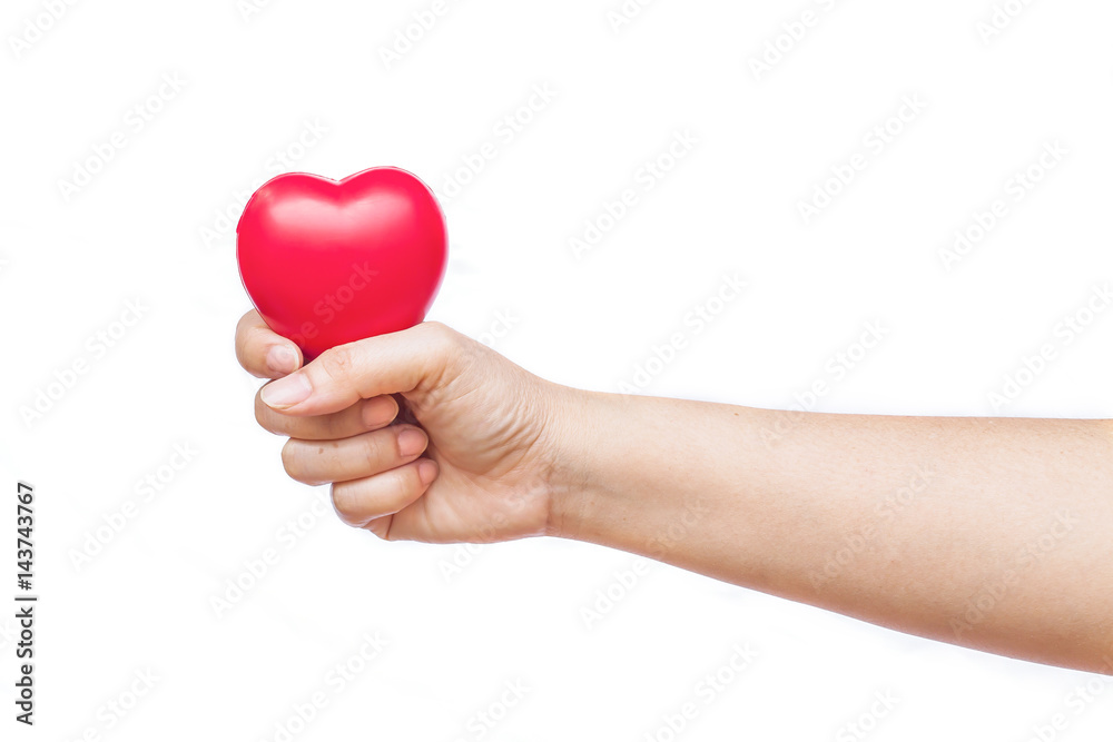 hand holding a red heart on white background hand holding a red heart on white background