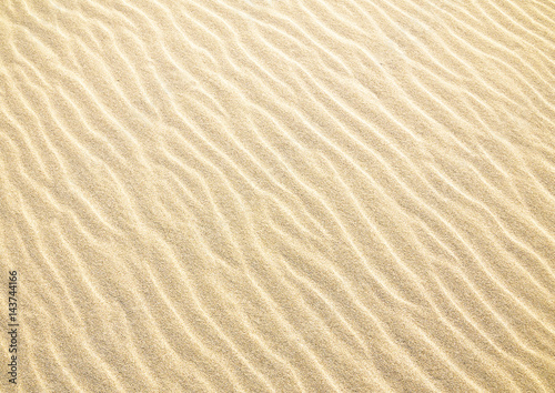  砂浜