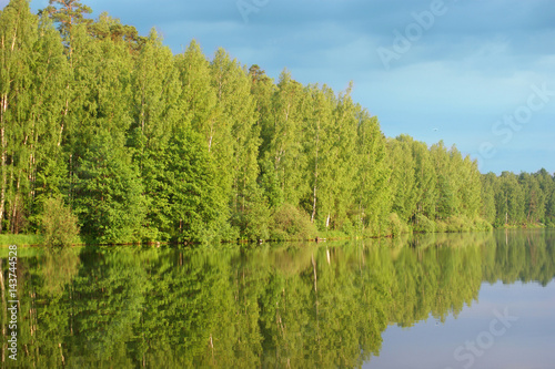A quiet summer lake with a dense forest along the coast