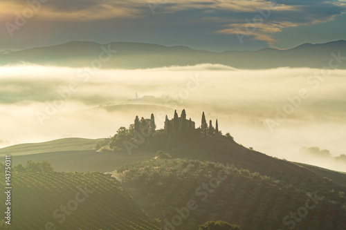Fairytale  misty morning in the most picturesque part of Tuscany  val de orcia valleys