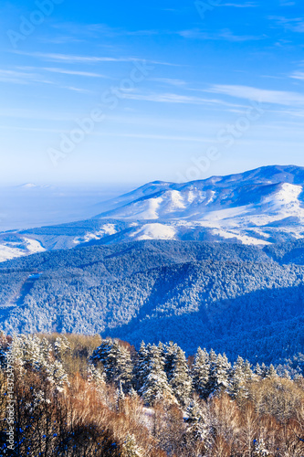 View from Tserkovka mountain оn the Altai Mountains in winter. Resort Belokurikha, Altai, Russia