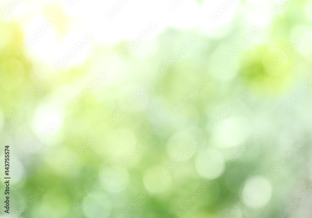 Natural green blurred background, bright summer sunlight Natural green blurred background, bright summer sunlight