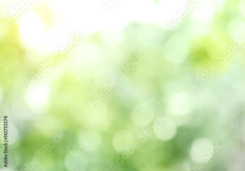 Fototapeta Naklejka Na Ścianę i Meble -  Natural green blurred background, bright summer sunlight