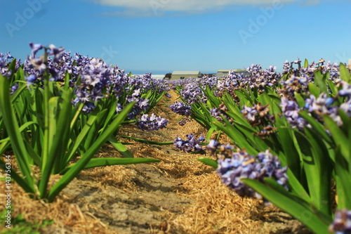 Natur Pur