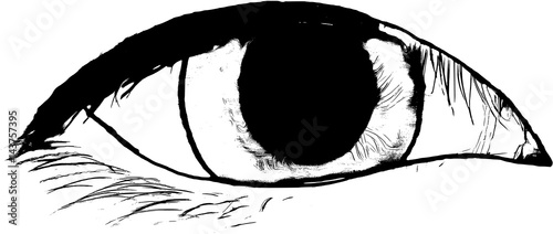 eye