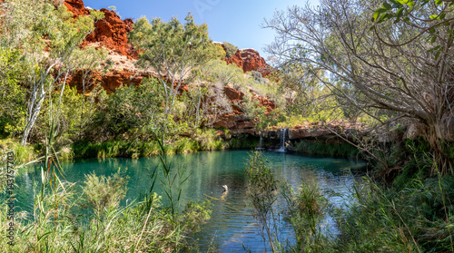Green pond in Karijini national park, Western Australia photo