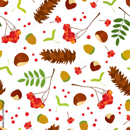 Forest seamless pattern of acorns, chestnuts, maple seeds, Rowan berry bunch with leaves, sugar pine cone on white background. Vector illustration for design.
