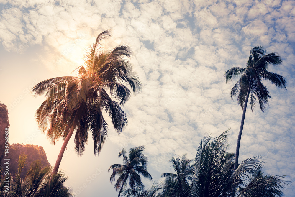 Silhouette coconut palm trees with sun light on sunset sky background. Travel concept. Photo from Kabi, Thailand. Vintage colors and boost up color processing.