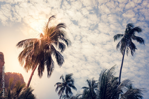 Obraz na płótnie Silhouette coconut palm trees with sun light on sunset sky background. Travel concept. Photo from Kabi, Thailand. Vintage colors and boost up color processing. w salonie