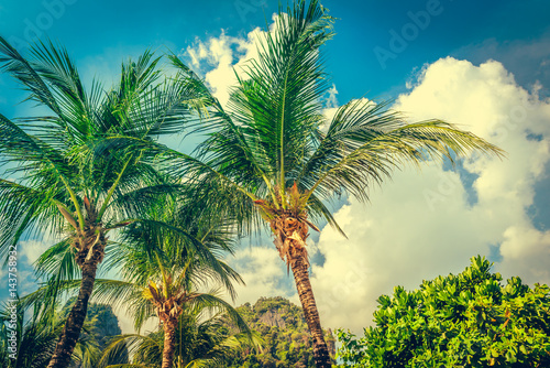 Obraz na płótnie Coconut palm trees and limestone rocks at sunny day at blue sky with clouds. Beautifull sea sunset nature background. Travel concept. Photo from Railay Beach, Krabi, Thailand. Vintage filter. w salonie