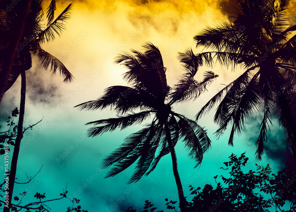 Silhouette coconut palm trees with sun light on sunset sky background. Travel concept. Photo from Kabi, Thailand. Vintage colors and boost up color processing.