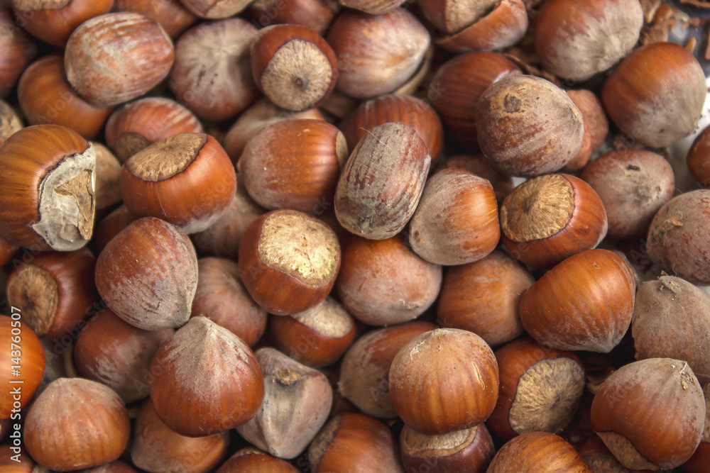 A pile of hazelnuts