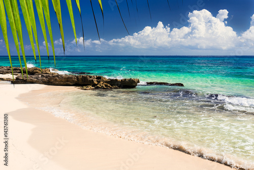 Paradise nature, sand, sea water, rocks, yellow palm tree leaves and summer on the tropical beach.  Photo from Playa Del Carmen, Riviera Maya, Yucatan, Mexico.