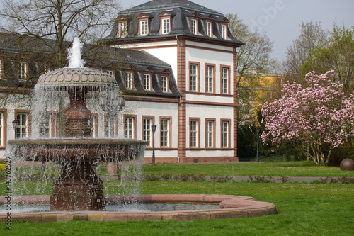 Frühling im Schloss Philippsruhe photo