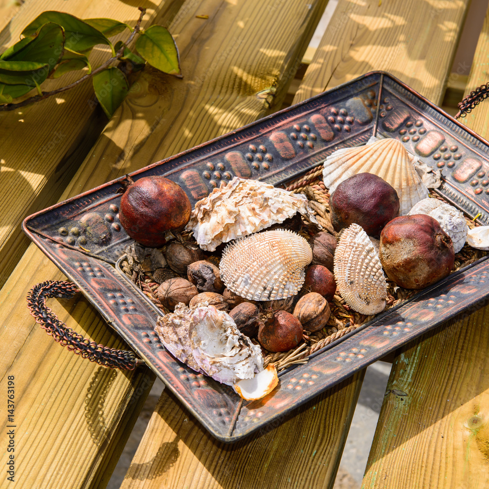 Various seashells and dry fruits lying on old wooden table. Marine background.