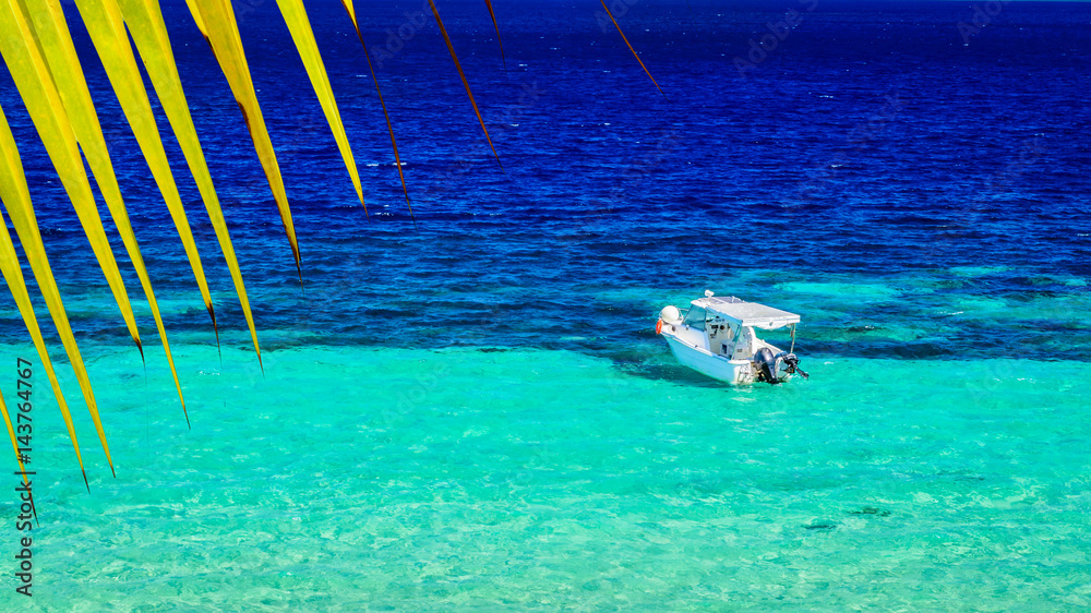 Tropical paradise - closeup of palm leaf and turquoise sea water with white boat. Summer background.