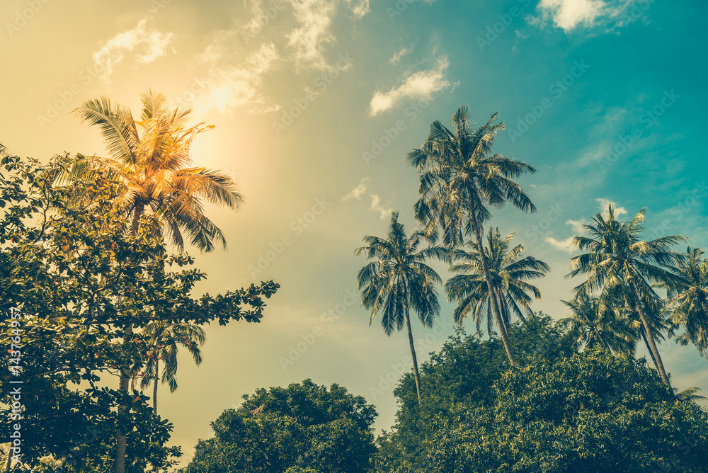 Silhouette coconut palm trees with sun light on sunset sky background. Travel concept. Photo from Kabi, Thailand. Vintage colors and boost up color processing.