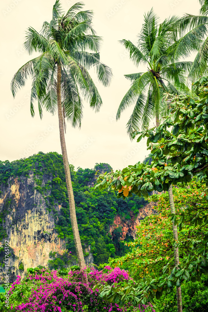 Tropical landscape with large rocks, coconut palm trees, vegetation and sky in bright green colors. Photo from Poda Island, Krabi province, Southern Thailand.
