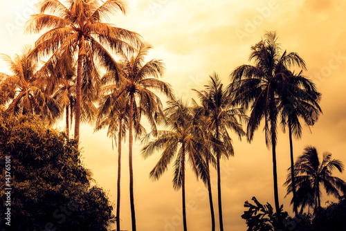 Obraz na płótnie Silhouette coconut palm trees with sun light on sunset sky background. Travel concept. Photo from Kabi, Thailand. Vintage colors and boost up color processing. w salonie