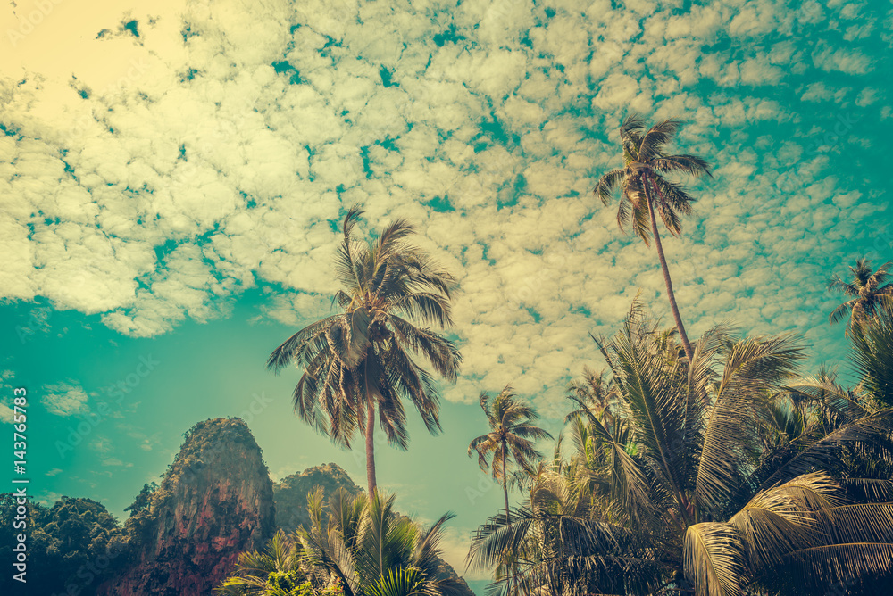 Coconut palm trees and limestone rocks with sun light on sunrise sky background. Travel concept. Photo from Kabi, Thailand. Vintage colors and boost up color processing.