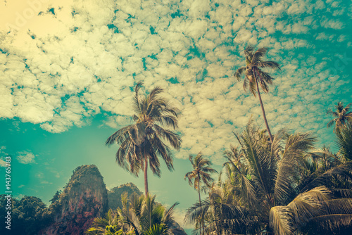 Obraz na płótnie Coconut palm trees and limestone rocks with sun light on sunrise sky background. Travel concept. Photo from Kabi, Thailand. Vintage colors and boost up color processing. w salonie
