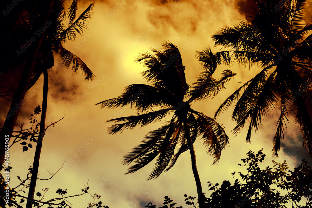 Silhouette coconut palm trees with sun light on dramatic sunset sky background. Travel concept. Photo from Kabi, Thailand. Vintage colors and boost up color processing.
