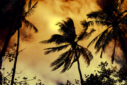 Obraz na płótnie Silhouette coconut palm trees with sun light on dramatic sunset sky background. Travel concept. Photo from Kabi, Thailand. Vintage colors and boost up color processing. w salonie