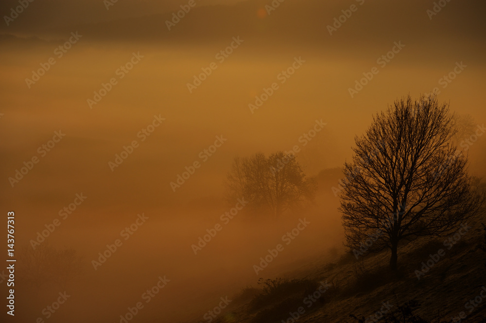 Nebelstimmung bei Sonnenaufgang