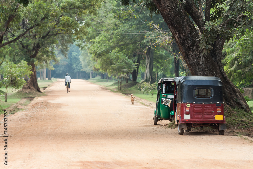 Road on Sri Lanka