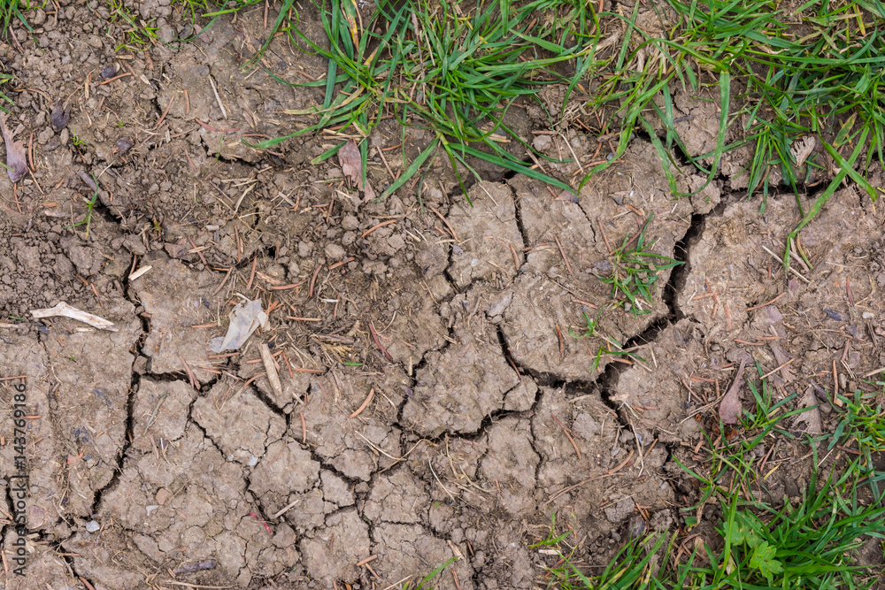 Cracked Soil Grass Texture Cracked Soil Grass Texture