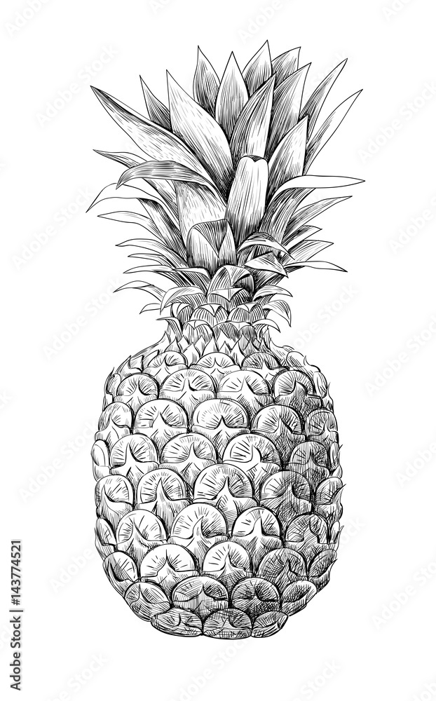 Obraz premium Pineapple fruit on white background. Element for design.