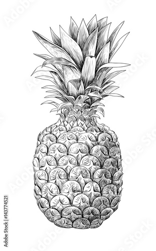 Pineapple fruit on white background. Element for design.