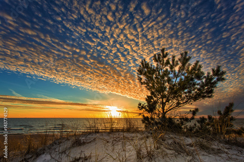 Wallpaper Mural The beauty of the sky at sunset by the sea Torontodigital.ca