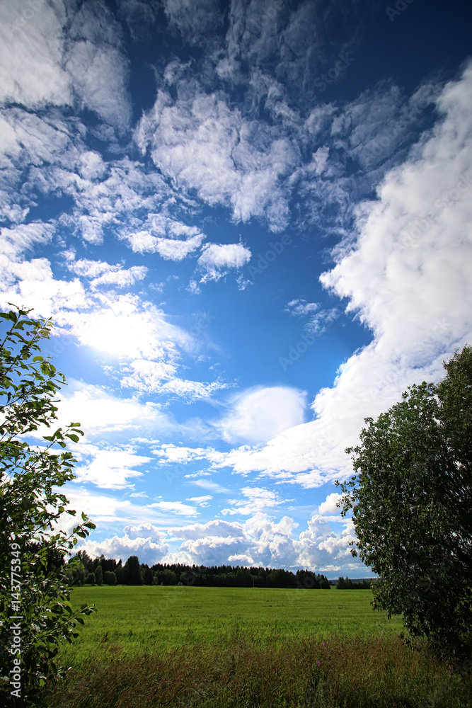 Obraz premium lanscape meadow sky cloud