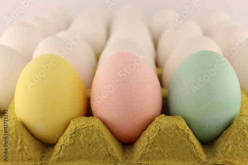 colourful eggs photo