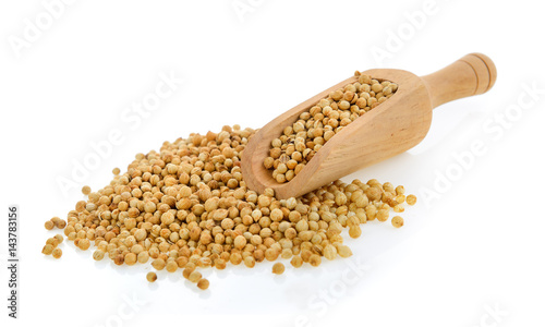 Coriander seeds in scoop isolated on white background
