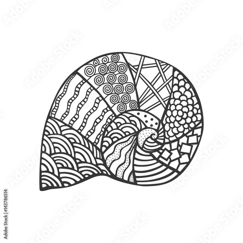 Isolated hand drawn black outline monochrome sea shell on white background. Ornament of curve lines.