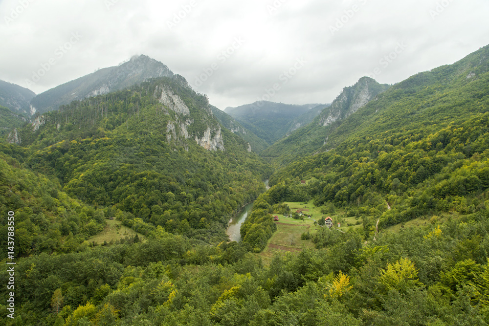 Plakat Montenegro. Durmitor National Park. Tara River Canyon