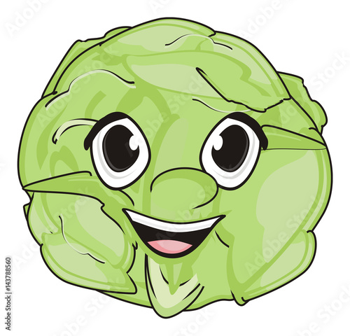 Cabbage, vagatable, white, leaves, veins, veins, head, round, lettuce, food,vitamins, kitchen, cook, farm, vigitarianism, Cartoon, two, different, colored, coloring photo