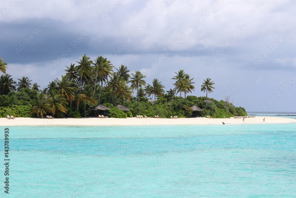 Fototapeta premium Palmeninsel