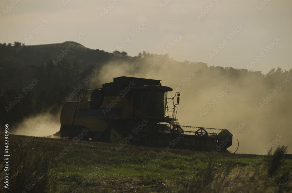 Naklejka premium Harvester working in sunset in summertime