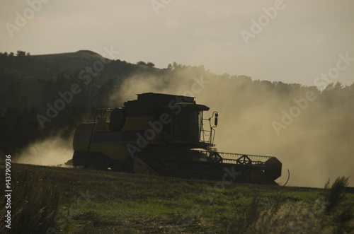 Harvester working in sunset in summertime © bettysphotos