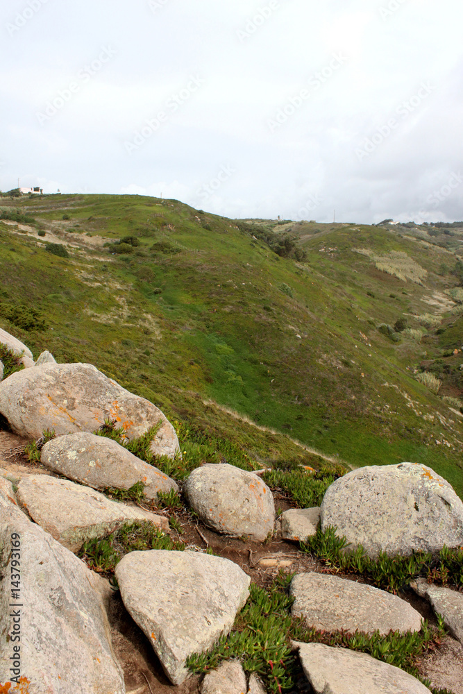 Portugal. Cabo da roca. Grey stones on green grass background, vertical view.