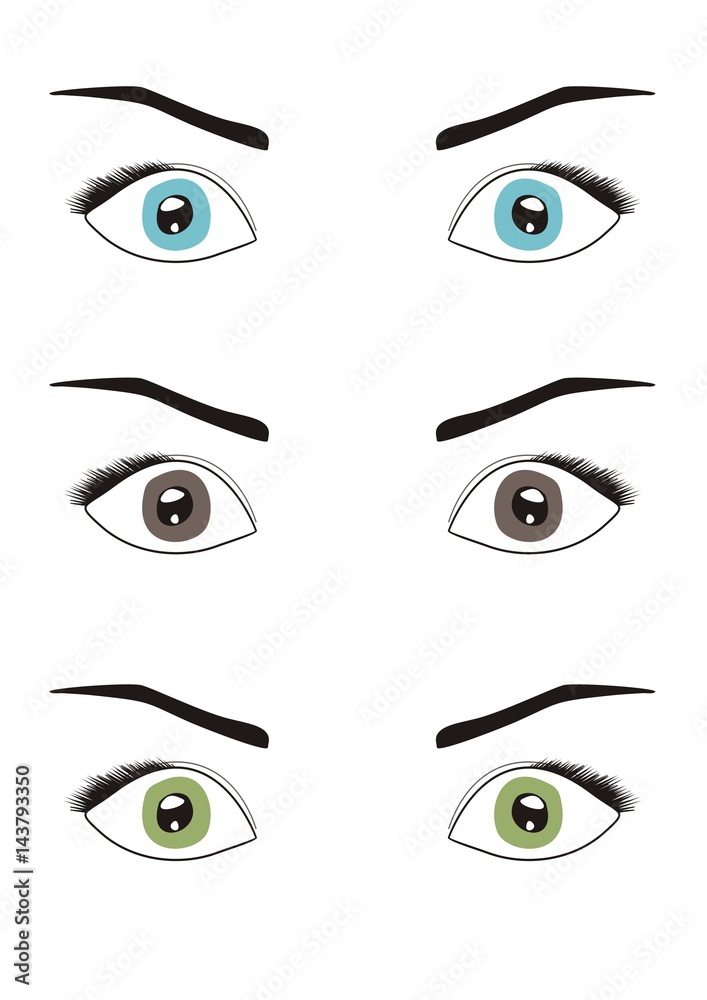 Brown, blue and green eyes and eyebrows. Vector illustration Brown, blue and green eyes and eyebrows. Vector illustration