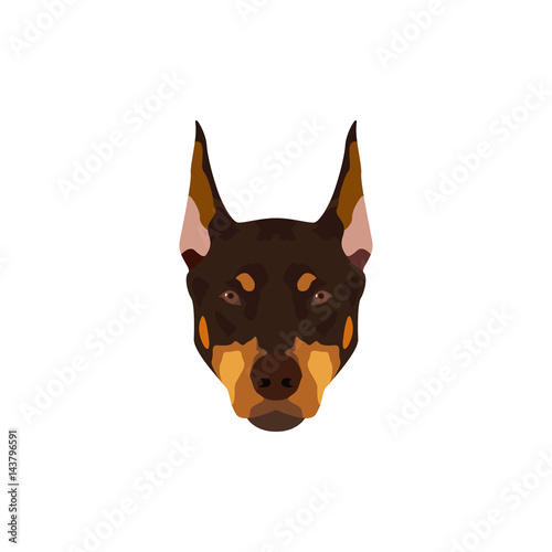 Doberman Pinscher dog vector