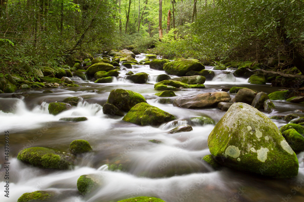 Roaring Forks Motor Trail Details in the Smoky Mountains Roaring Forks Motor Trail Details in the Smoky Mountains